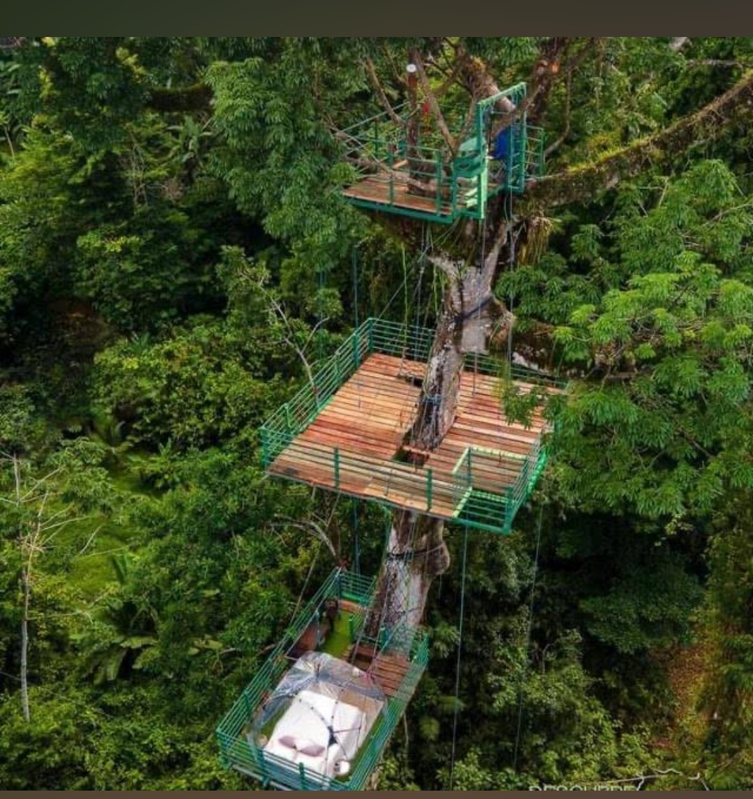 The Green Jungle House, Puerto Viejo